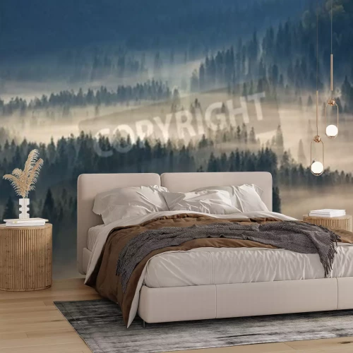 Fototapete Den wald erhellende sonnenstrahlen