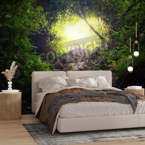 Fototapete Pflanztunnel im Dschungel