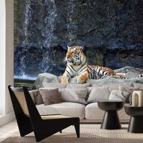 Fototapete Porträt eines tigers auf steinen