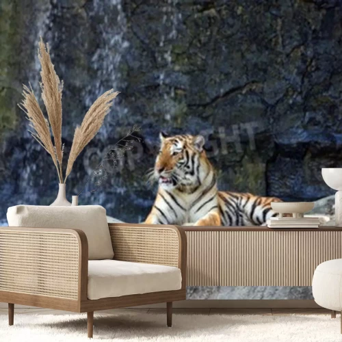 Fototapete Porträt eines tigers auf steinen