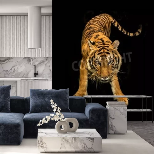 Fototapete Tiger in bewegung vor einem dunklen hintergrund
