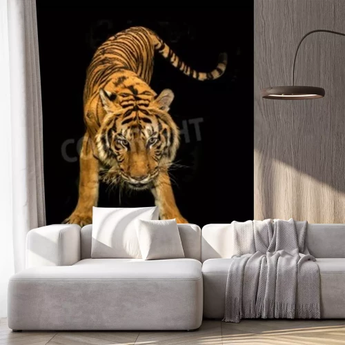 Sticker Tiger in bewegung vor einem dunklen hintergrund