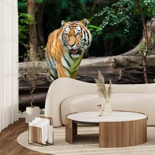 Fototapete Majestätischer tiger im wald