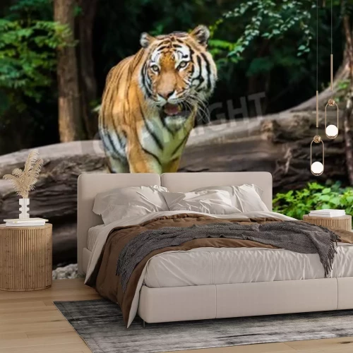 Fototapete Majestätischer tiger im wald