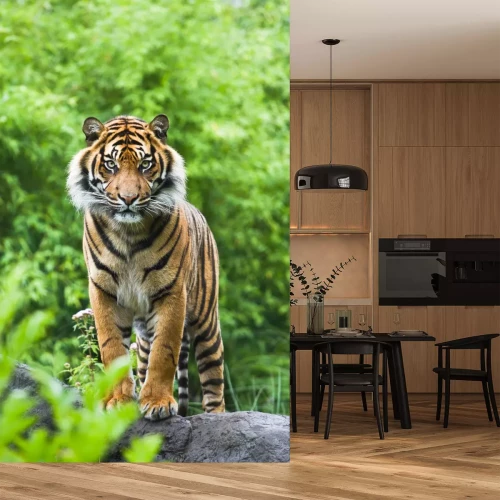 Fototapete Bengalischer tiger im grünen