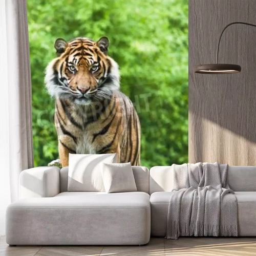 Fototapete Bengalischer tiger im grünen