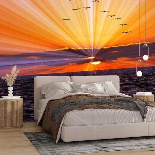 Fototapete Fliegende Vögel über dem Meer bei Sonnenuntergang