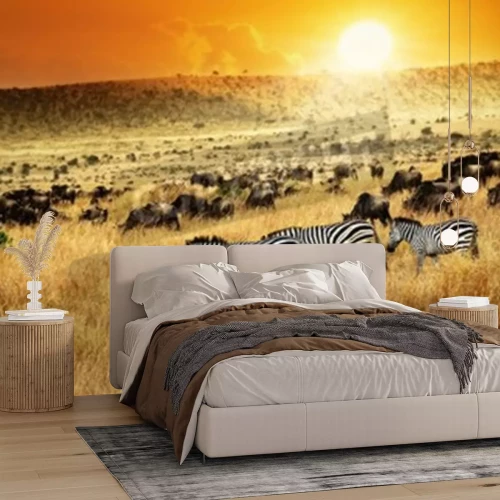 Fototapete Sonnenuntergang Afrika und Zebras