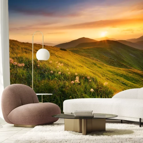 Fototapete Sonnenuntergang über Lichtung mit Pusteblumen