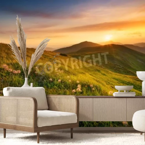 Fototapete Sonnenuntergang über Lichtung mit Pusteblumen