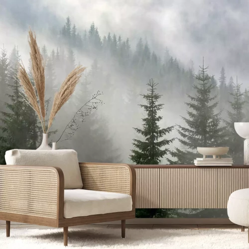 Fototapete Tannenbäume auf nebligem hintergrund