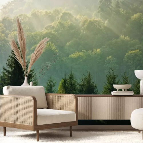 Fototapete Dunkle Baumsilhouetten vor dem Hintergrund von Sonnenstrahlen