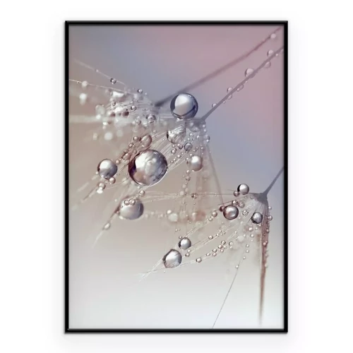 Poster Schöne Tautropfen auf einem Löwenzahn-Samen Makro. Schöne blauen Hintergrund. Große goldene Tautropfen auf einem Fallschirm Löwenzahn. Weiche verträumte zärtliche künstlerische Bildform.