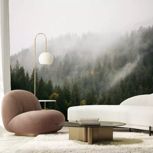 Fototapete Wald und Berge im Nebel