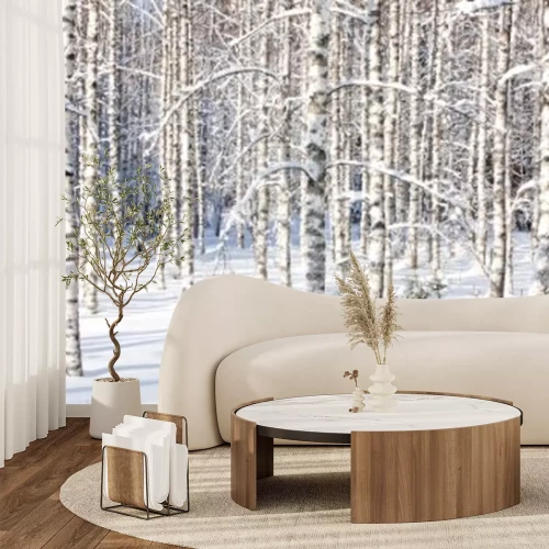 Fototapete Birken im Winter