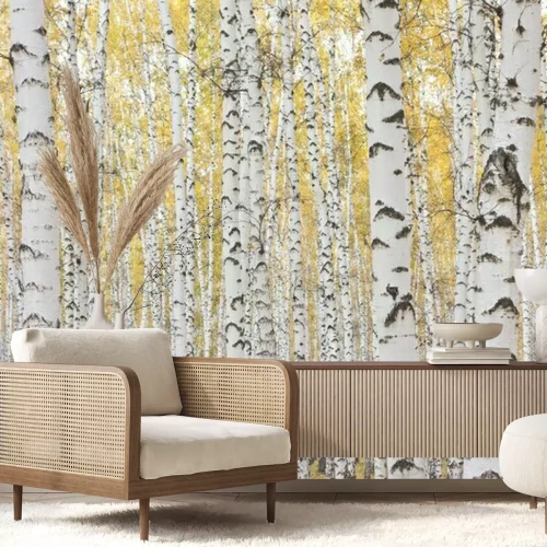 Fototapete Birken mit gelben Blättern