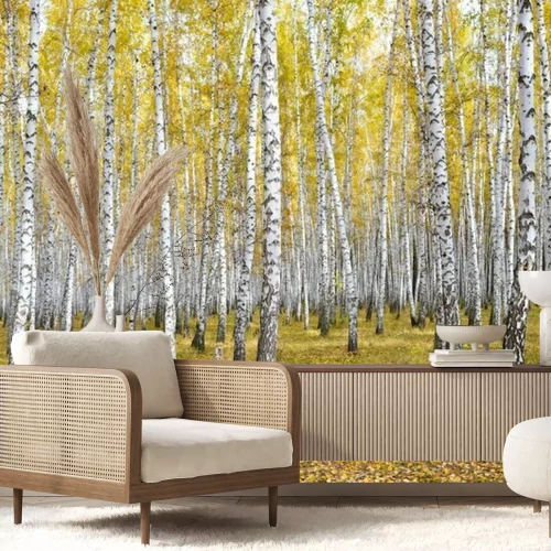 Fototapete Ein Birkenwald im Herbst