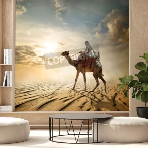 Fototapete Beduine Kamel und Wüste