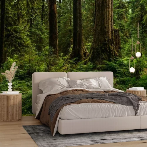 Fototapete Hoh Regenwald