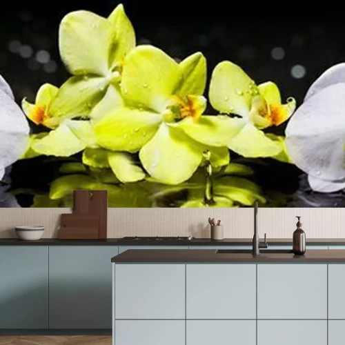 Fototapete Weiße und gelbe Orchideen mit Wassertropfen