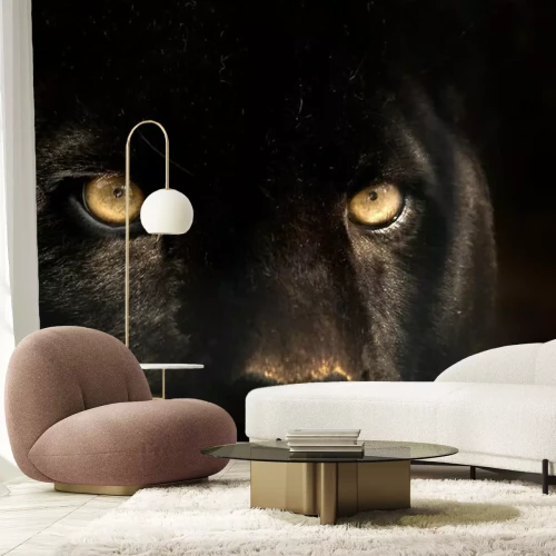 Fototapete Tier mit gelben Augen