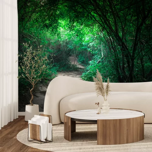 Fototapete Dunkler grüner Dschungel