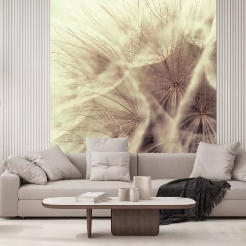 Fototapete Nahaufnahme von Löwenzahnsamen