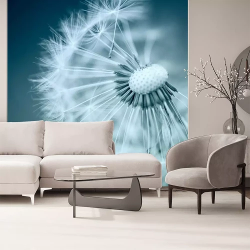 Fototapete Dandelion