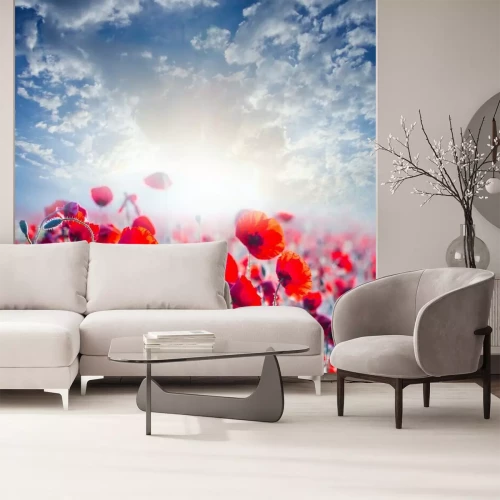 Sticker Feldblumen vor einem Hintergrund aus Sonnenschein