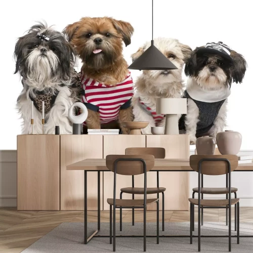 Sticker Haustiere vier gekleidete Shih Tzu