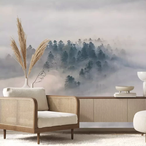 Fototapete Nebel und bäume im pieniny-gebirge