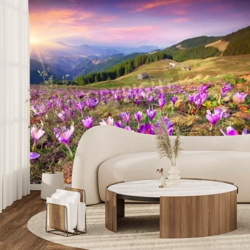 Fototapete Sonnenaufgang am Frühling