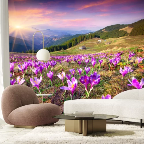 Fototapete Sonnenaufgang am Frühling