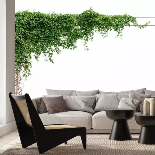 Fototapete Efeu an der Wand