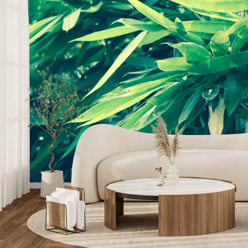 Fototapete Grüne Bambusblätter