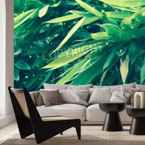 Fototapete Grüne Bambusblätter
