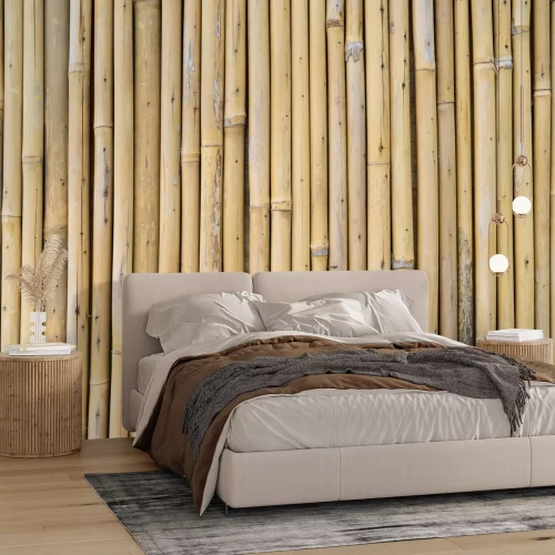 Fototapete Getrockneter Bambus