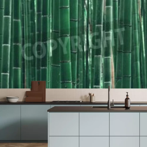 Fototapete Grüne Bambussprossen