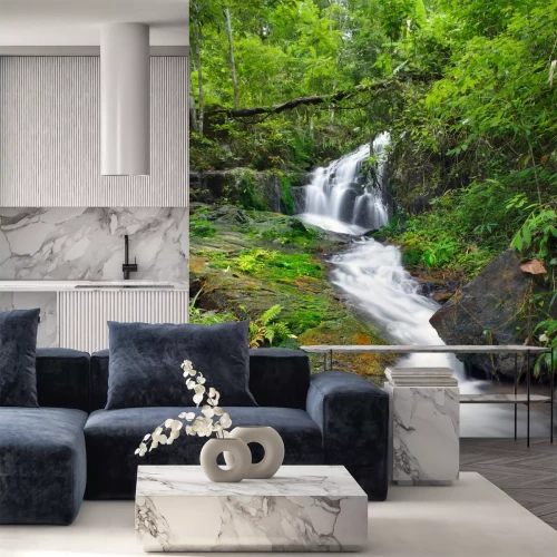 Fototapete Dschungel Tropen und Natur