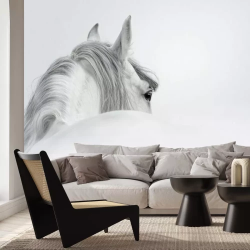 Fototapete Andalusier in einem Nebel