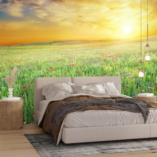 Fototapete Frühlingswiese