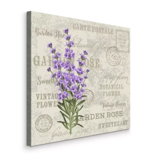 Bild Lavendel-Briefpapier