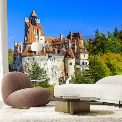 Fototapete Schloss in Rumänien im Wald