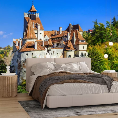 Fototapete Schloss in Rumänien im Wald