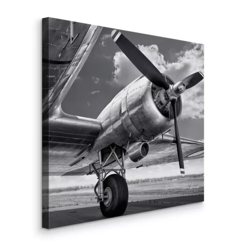 Bild Der Propeller eines Oldtimer-Flugzeugs