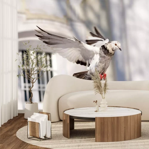 Fototapete Über Stadt fliegende Taube