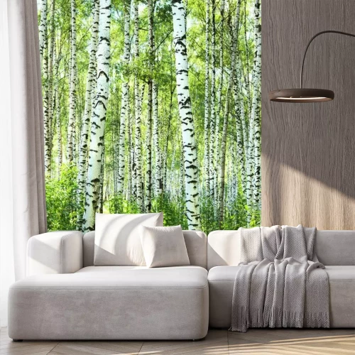 Fototapete Sommer im sonnigen Birkenwald