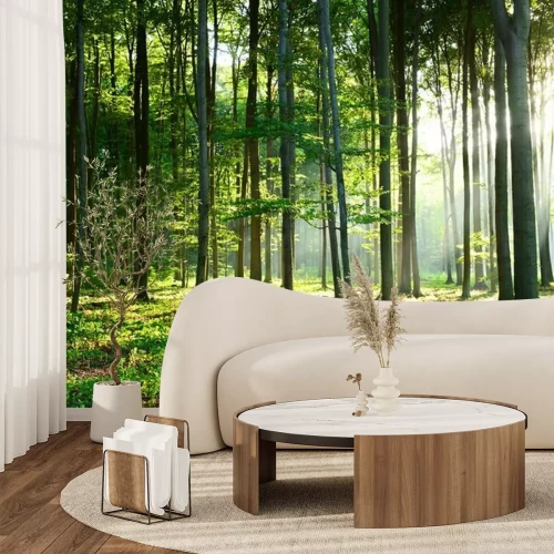 Fototapete Morgen im Wald