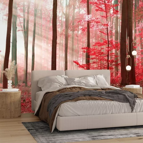 Fototapete Zauberwald in rot
