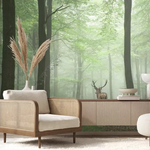 Fototapete Hirsch im grünen nebligen Wald